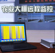 农业大棚远程监测系统
